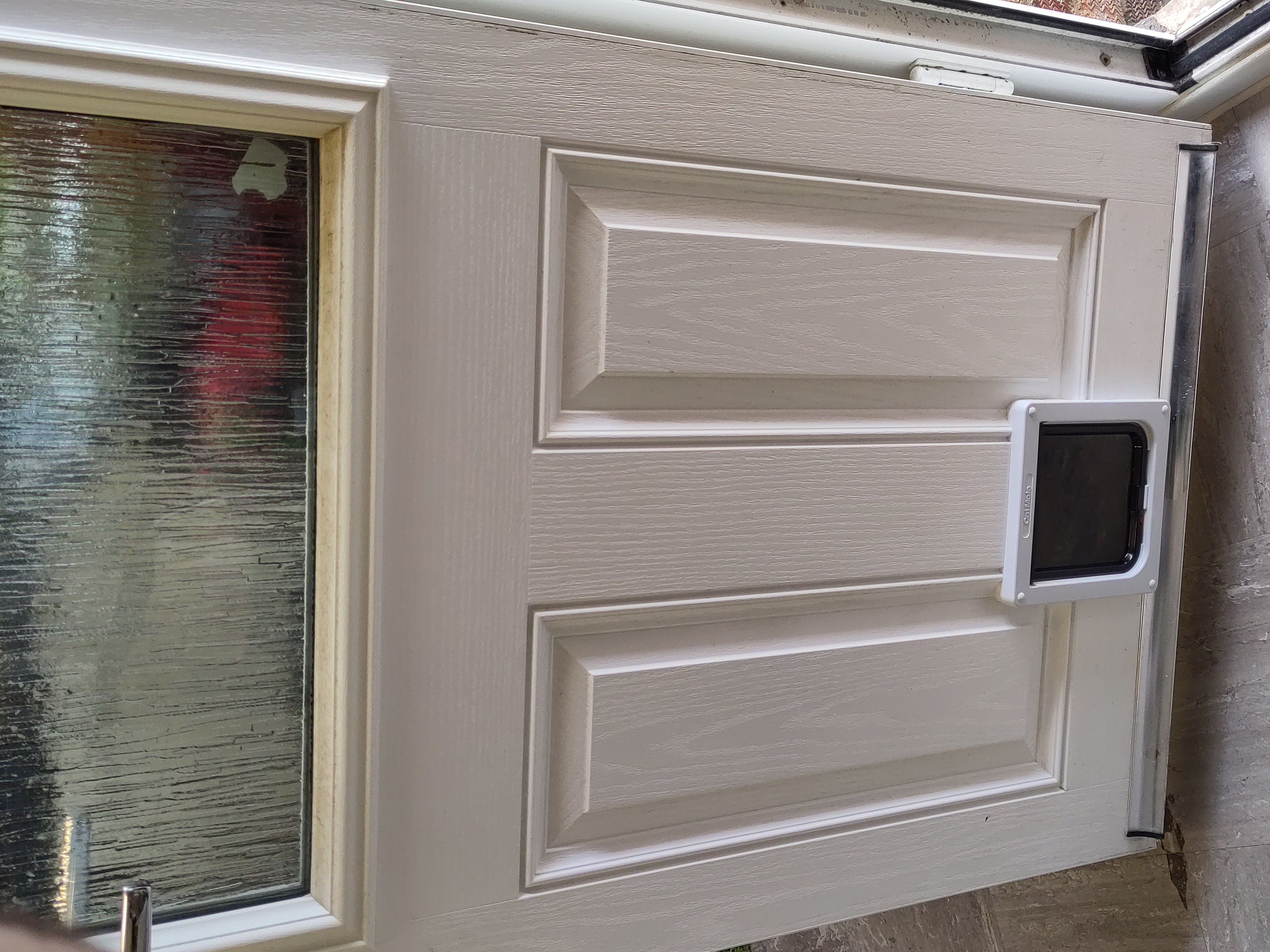 cat flap 2